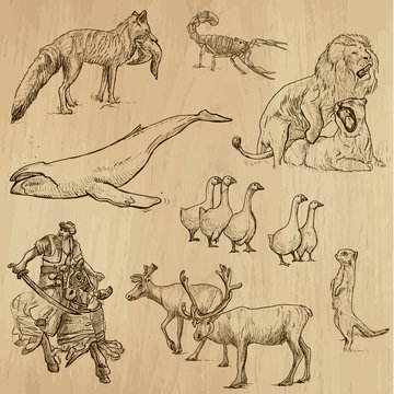 Animals around the World (set no. 12) - vector set, hand drawn