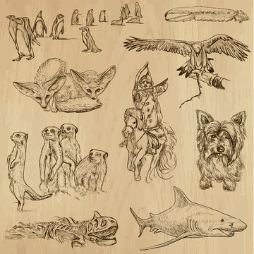 Animals around the World (set no. 13) - vector set, hand drawn