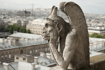 Fototapeta na wymiar Gargoyle w katedrze Notre-Dame w Paryżu