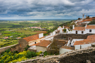 Obraz premium Farm of olive groves and vineyards