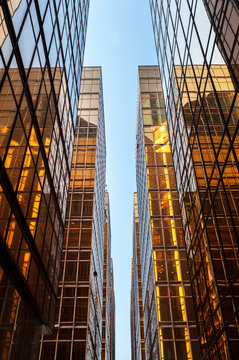 Symmetrical glass skyscrapers reflecting sunlight in Hong Kong