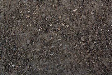 Soil texture background