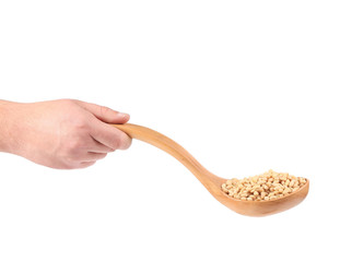Peeled pine nuts in a wooden spoon.