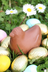 gallina di cioccolato e uova_ Pasqua