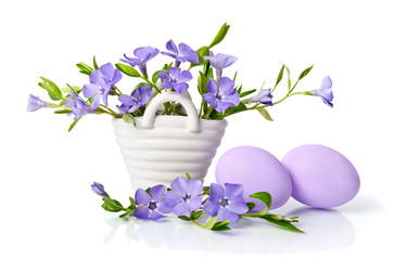 Beautiful blue periwinkle in the basket and  easter eggs isolate