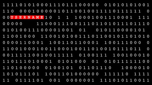 Password, username, email address revealed in code.