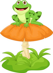 Fototapeta premium Funny frog sitting on mushroom