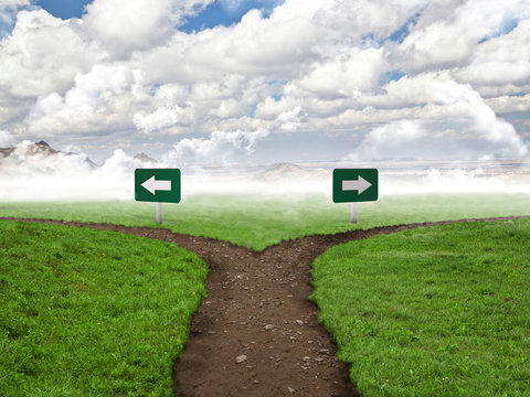 road that divides into 2 directions. nobody. decision, future, choice