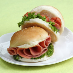 Fresh Hamburger
