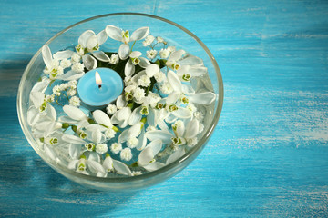 Beautiful snowdrops and candle in glass bowl with water,