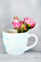 Beautiful roses in cup on light background