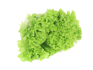 Green salad leaf.