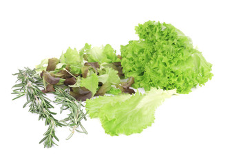 Salad mix and rosemary.