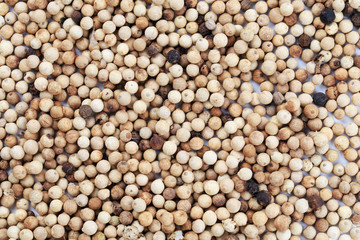 Background of white peppercorns.