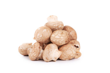 Brown champignon mushroom.