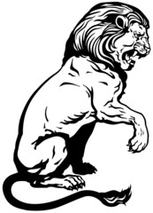 sitting lion black white