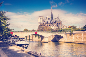 view of the cathedral of Notre Dame and the Seine