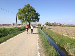 Obraz premium Strada di campagna