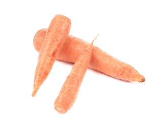 Ripe carrots.