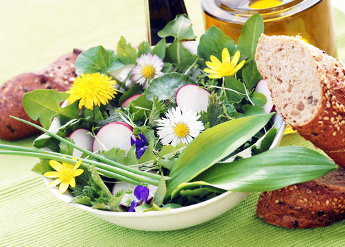 Wildkräuter, Frühlingskräuter, Salat, Frühling, copy space