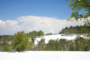 Weather anomalies. Snow in May. Winter in spring.