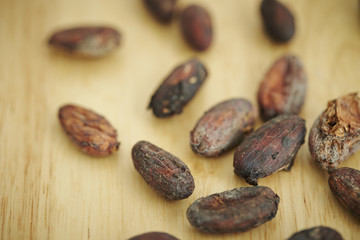 Cacao beans