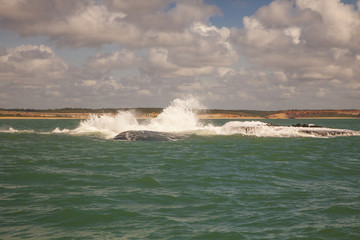 Faro di Baia da Traiçao, Paraiba,Brasile