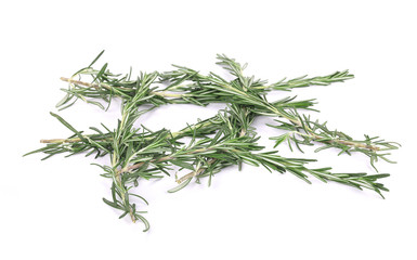 Twig of rosemary.
