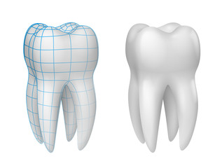 Dents vectorielles 1