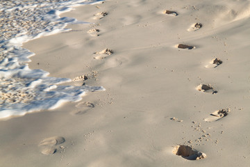 Footprints in the sand