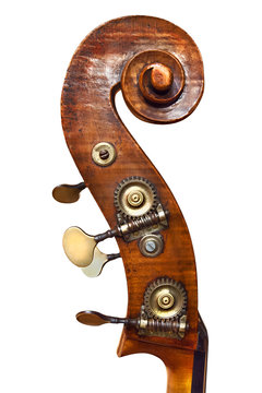 Riccio di Contrabbasso