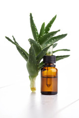 aloe vera essential oil