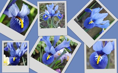 Fototapete bei efototapeten.de bestellen   