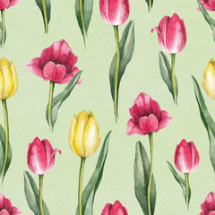 Tulip flowers illustration. Watercolor seamless pattern