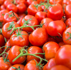 Lots of ripe red tomatoes piled
