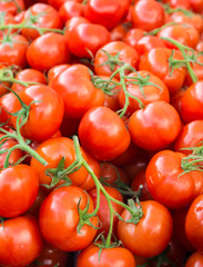 Lots of ripe red tomatoes piled