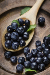 Blueberry