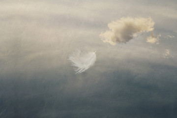 feather flying in the sky, ease, easiness