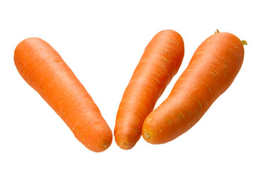 carrot