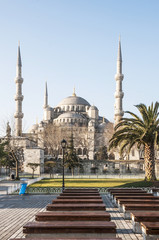 Obraz premium Blue mosque