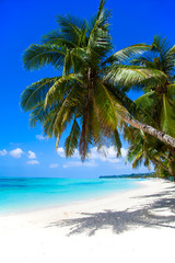 Obraz na płótnie Canvas Boracay Island. White Beach.