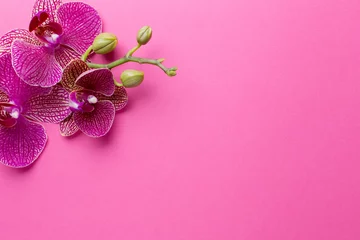 Plexiglas foto achterwand Orchid. © gitusik