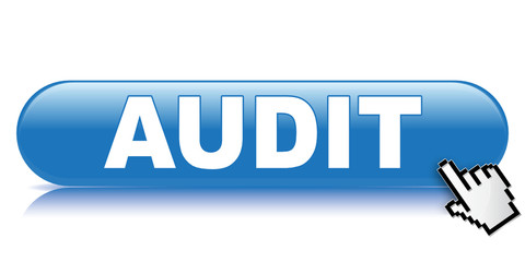 AUDIT ICON