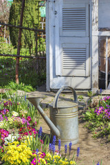Watering plants in beautiful spring garden