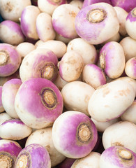 Heap of harvested white turnips