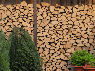 Brennholz © focus finder