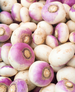 Heap of harvested white turnips