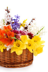 Beautiful flowers in wicker basket, isolated on white