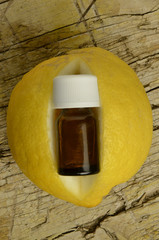 Lemon Zitrone Limone Citrus Limon Лимон לימון