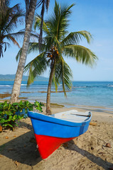 Obraz premium Boat on a tropical beach with coconut tree